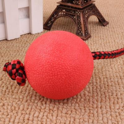 Bite Resistant Rubber Ball With Elastic Rope Dog Chew Toy - Weriion