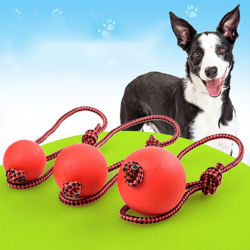 Bite Resistant Rubber Ball With Elastic Rope Dog Chew Toy - Weriion