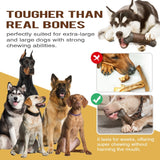 Bite Resistant Sound Making Chew Toy For Dogs - Weriion