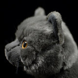 Black Cat Stuffed Animal Plush Toy Doll - Weriion