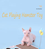 Cat Teaser Whack - A - Mole Toy - Weriion