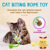 Catnip Pet Plush Interactive Cat Chew Toy - Weriion