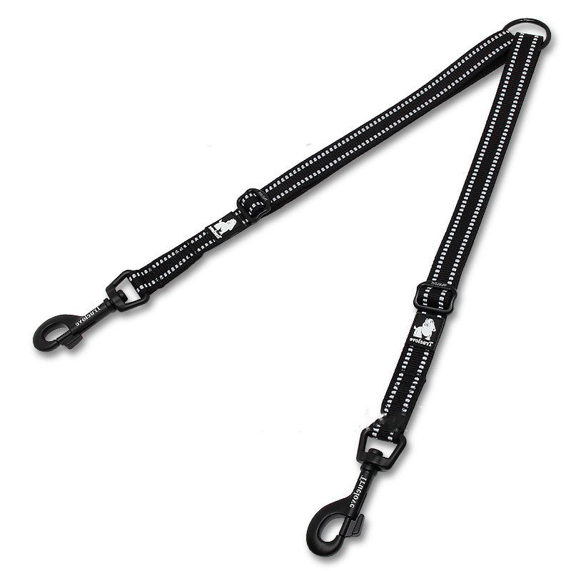 Convenient Double Dog Pet Leash