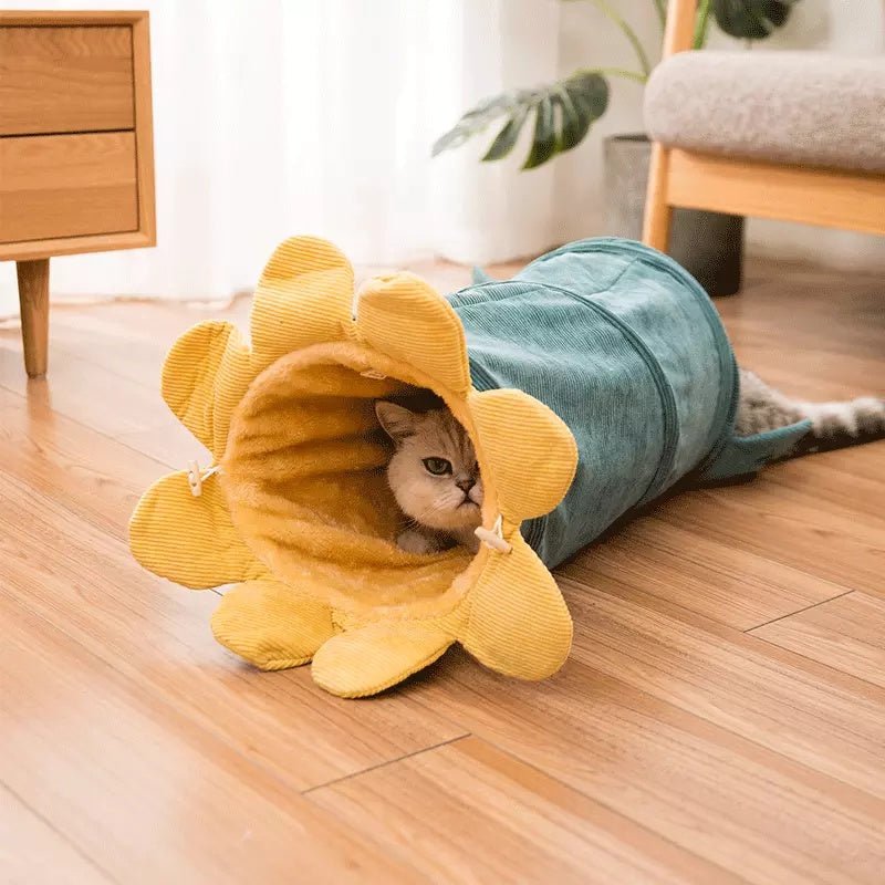 Creative Funny Cat Tunnel Toys - Weriion