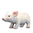 Cute Domestic Pig Plush Toy - Weriion