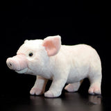 Cute Domestic Pig Plush Toy - Weriion