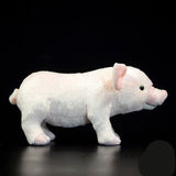 Cute Domestic Pig Plush Toy - Weriion