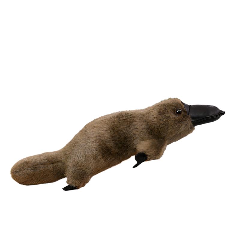 Cute Stuffed Animal Platypus Doll Plush Toy - Weriion