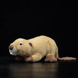 Beaver Stuffed Animal Plush Toy