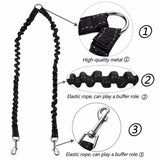 Double Nylon Pet Dog Leash - Weriion