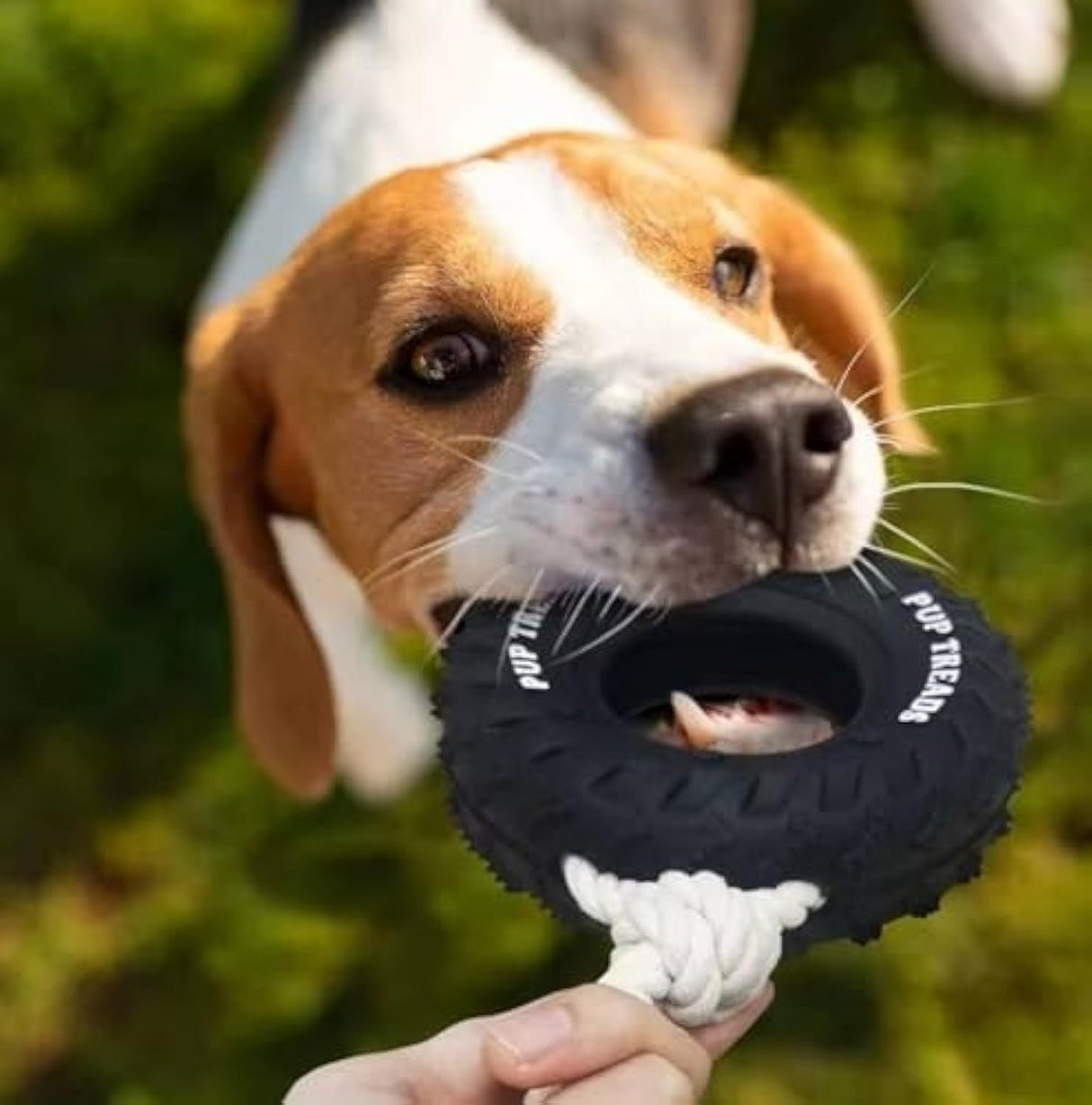 Durable Food Dispensing Teeth Cleaning Dog Chew Toy For Large Aggressive Chewers - Weriion