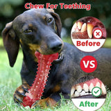 Durable Long - Lasting Natural Rubber Bone Dog Chew Toy Suitable For Aggressive Dogs - Weriion