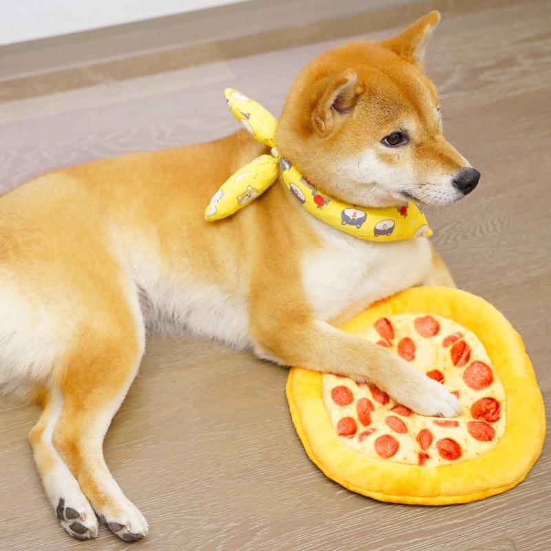 Durable Pizza Dog Chew Toy - Weriion