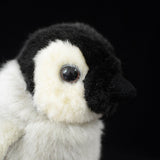 Cute Little Penguin Baby Plush Toy Doll