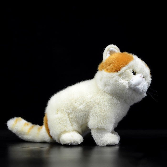 Exotic Persian Cat Doll Plush Toy - Weriion