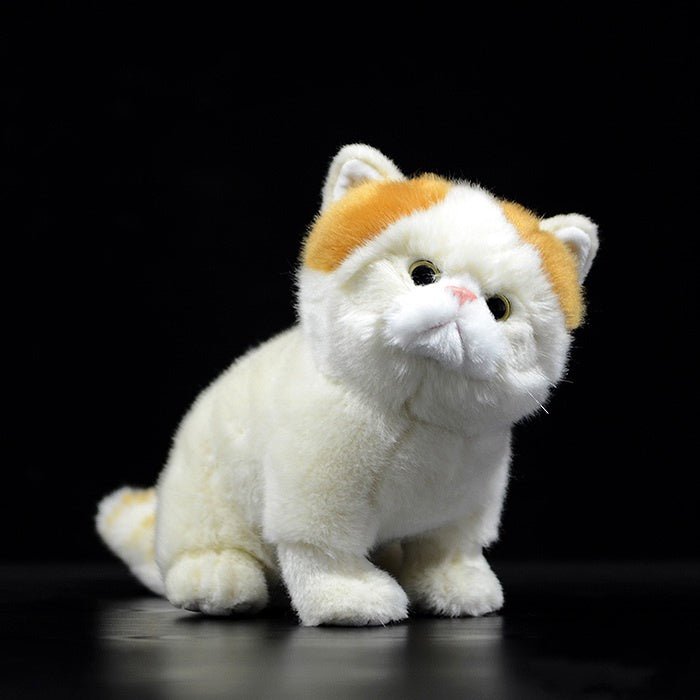 Exotic Persian Cat Doll Plush Toy - Weriion