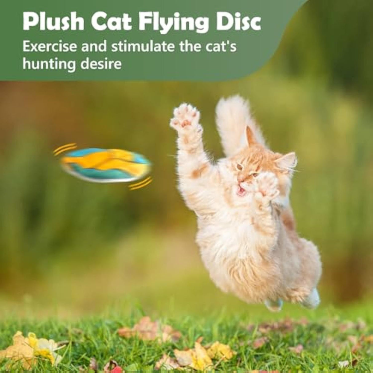 Flying Discs Frisbees Soft Catnip Filled Cat Toys - Weriion