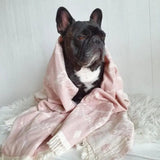 Highly Absorbent 100% Organic Cotton Towel