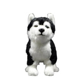 Husky Dog Plush Doll Toy - Weriion