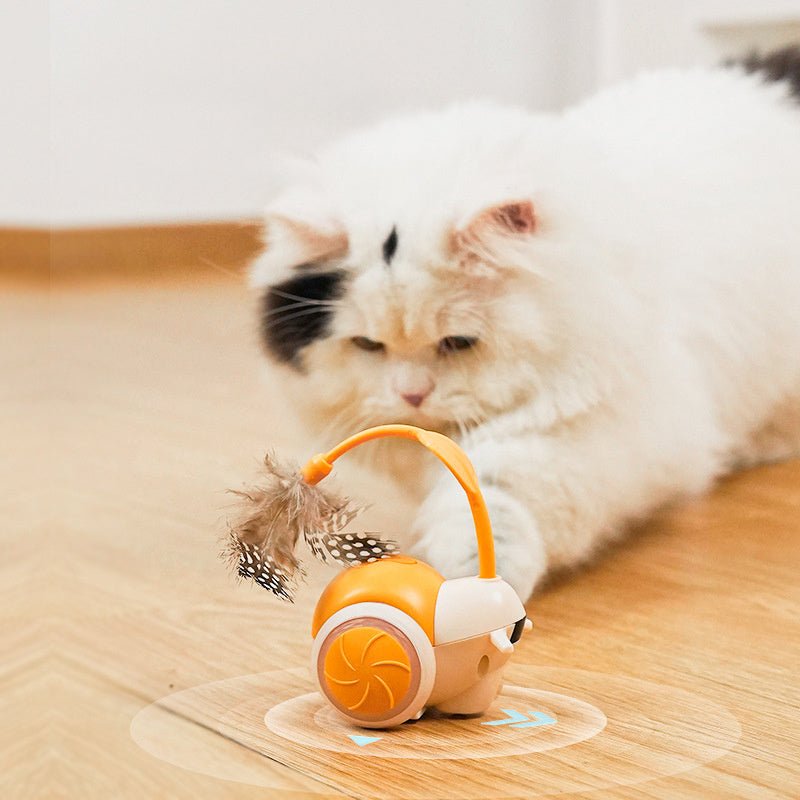 Intelligent Electric Cat Chasing Toys For Indoor Exercise - Weriion