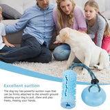 Interactive Dog Chew Ball Toys For Aggressive Chewers With Suction Cup - Weriion