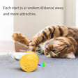 Interactive Luminous Mouse Toy For Cats To Chase Pet Supplies - Weriion