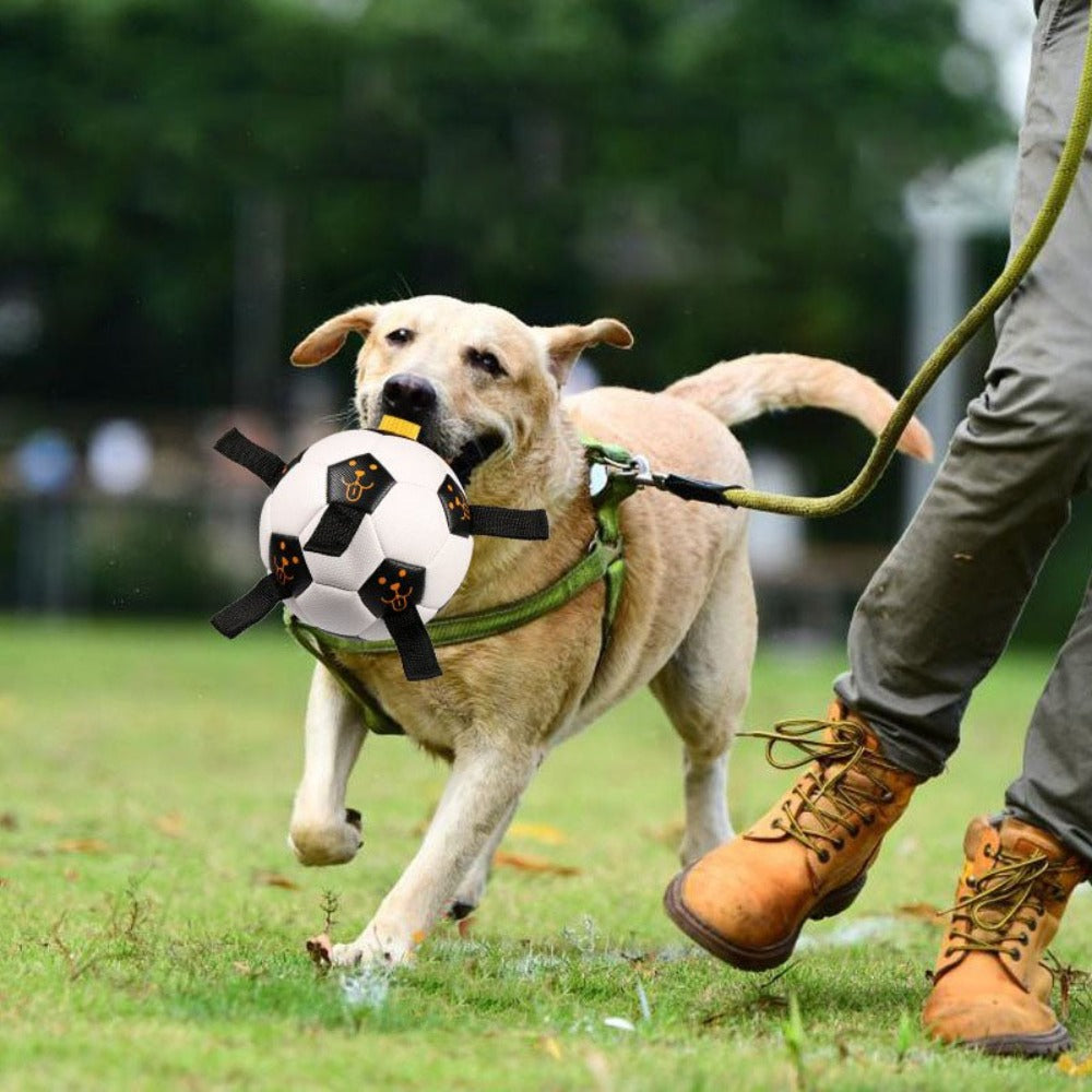 Interactive Multifunctional Bouncing Bite Resistant Ball With Straps Dog Toy - Weriion