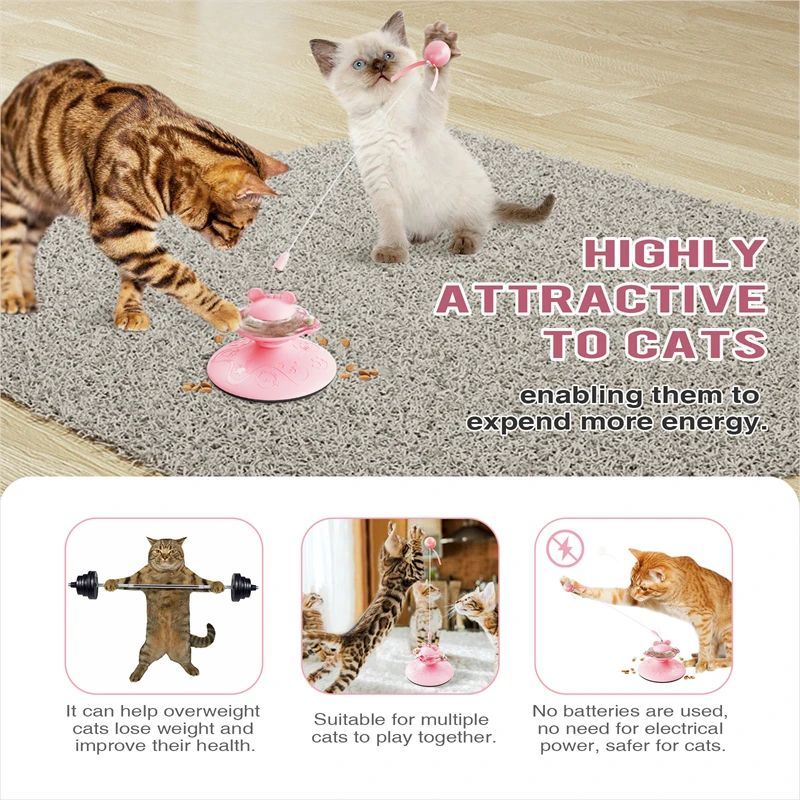 Interactive Scratch Post Cat Toys With Suction Cup - Weriion