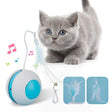 Irregular Electric Moving Feather Teasing Pet Cat Toy - Weriion