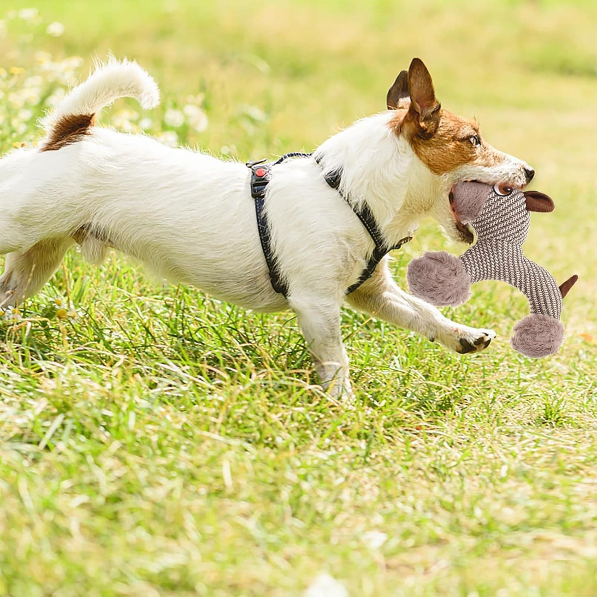 Large Squeaky Stuffed Animals Dog Plush Chew Toys - Weriion