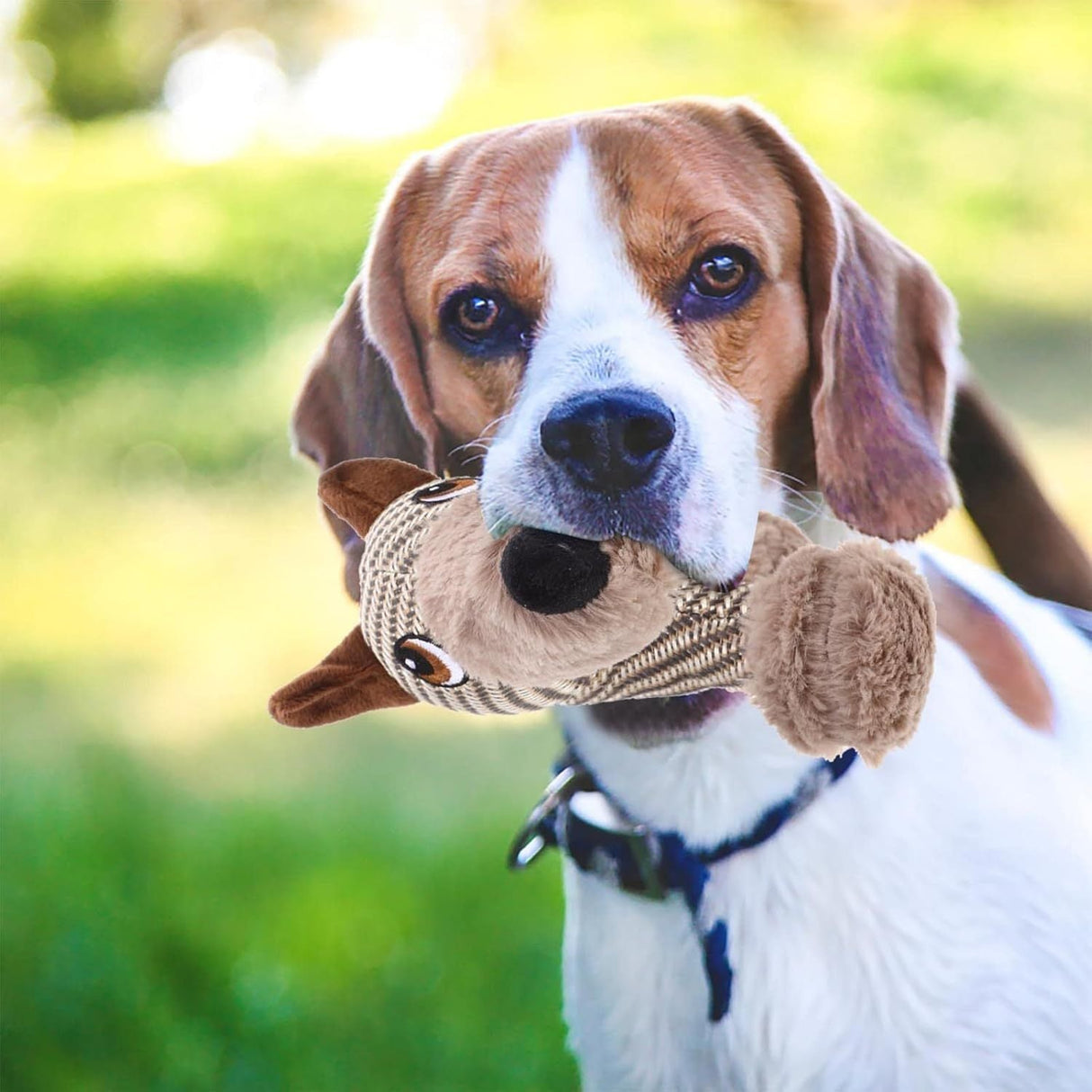 Large Squeaky Stuffed Animals Dog Plush Chew Toys - Weriion