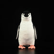 Penguin Stuffed Animal Plush Toy - Weriion