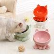 Pet Dog & Cat Ceramic Feeding Bowls - Weriion