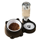 Pet Double Cat Dog Food And Water Bowl - Weriion