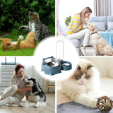 Pet Double Cat Dog Food And Water Bowl - Weriion