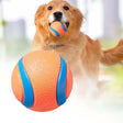 Pet Fetch Ball Dog Chew Toys - Weriion