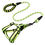 Pet Supplies Dog Leash & Chest Harness - Weriion