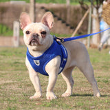 Polyester Reflective & Breathable Pet Dog Harness With Leash - Weriion