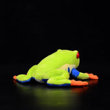 Red - Eyed Small Tree Frog Plush Toy Doll - Weriion