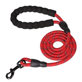 Reflective Automatic Retractable Nylon Traction Pet Dog Leash - Weriion