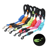 Reflective Automatic Retractable Nylon Traction Pet Dog Leash - Weriion