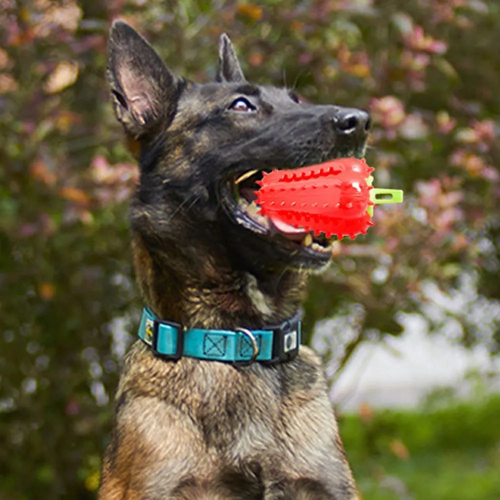 Safe & Comfortable Interactive Dog Chew Toys - Weriion