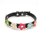 Small Flowers PU Pet Collar - Weriion