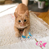 Small Plush PP Cotton Cat Fish Toys - Weriion