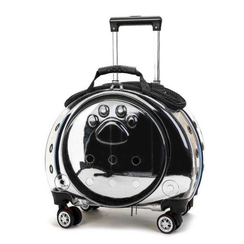 Small Transparent Pet Trolley Bag - Weriion