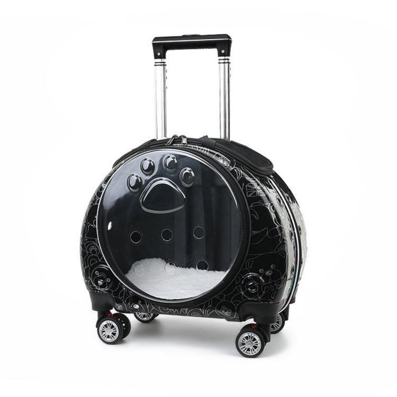 Small Transparent Pet Trolley Bag - Weriion