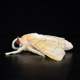 Soft Cute Moth insect Plush Toy - Weriion