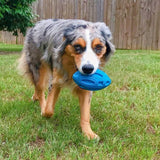 Squeaky Durable Rubber Dog Chew Toy - Weriion