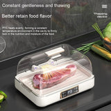 Thawing Plate Heating Household Cooking Device - Weriion