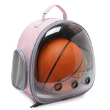 Transparent Dog Cat Pet Carrier Backpack - Weriion